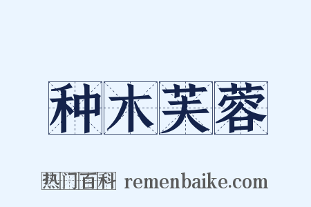 种木芙蓉是什么意思的图片